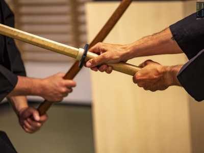...e utilizza il lungo bastone per fermare l�attacco, in una danza armoniosa ed elegante